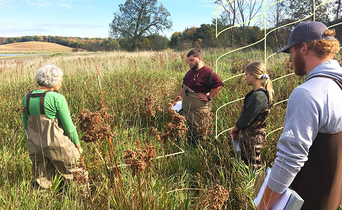 Students work Professor Little in a field on prairie restoration research