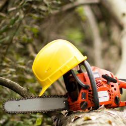 chainsaw with a yellow safety halmet