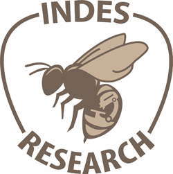 INDES project logo
