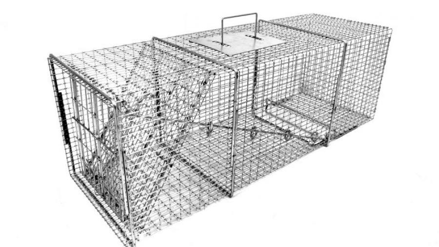 Tomahawk Live Trap (TLT) offers more than 100 sizes of traps and cages to humanely capture pests and stray animals.