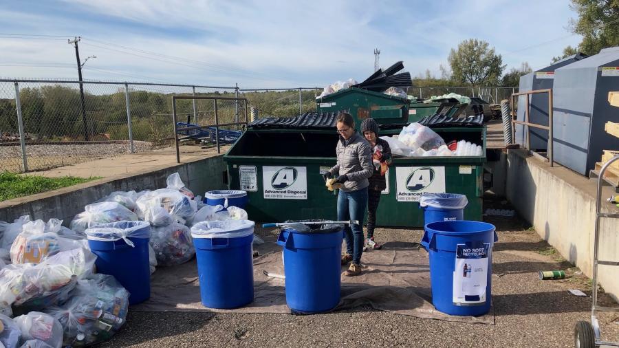 Recycling audit