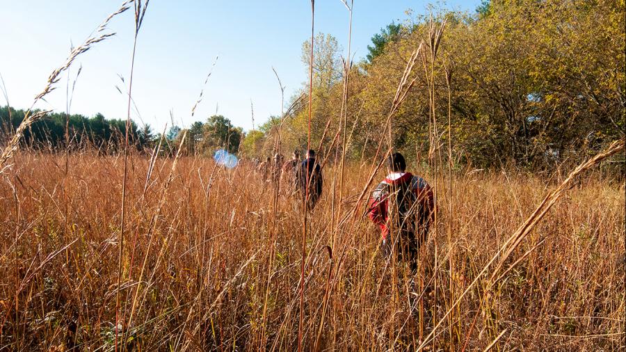 Students in an environmental science class work on a prairie restoration project near campus, an example of UW-Stout’s applied learning focus.