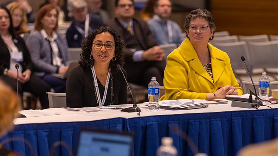 UW-Stout Provost Glendalí Rodríguez presented to a committee during the Board of Regents meeting.