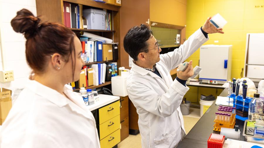 Caitlyn Lisota and her research adviser, Associate Professor Taejo Kim, conduct tests in the food science lab.