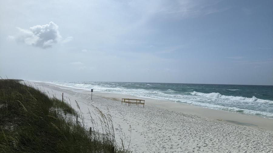 Beach between Foley and Pensacola. Photo by Zachary Helget