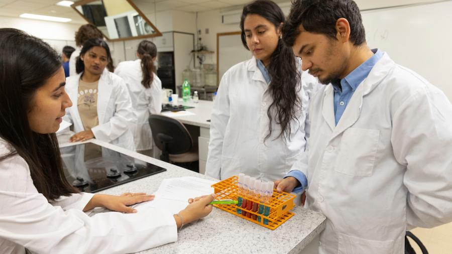 Food science students conduct glucose test in the lab