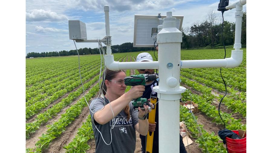 AMCS student Lindsey Redepenning collecting data at Chippewa Valley Bean