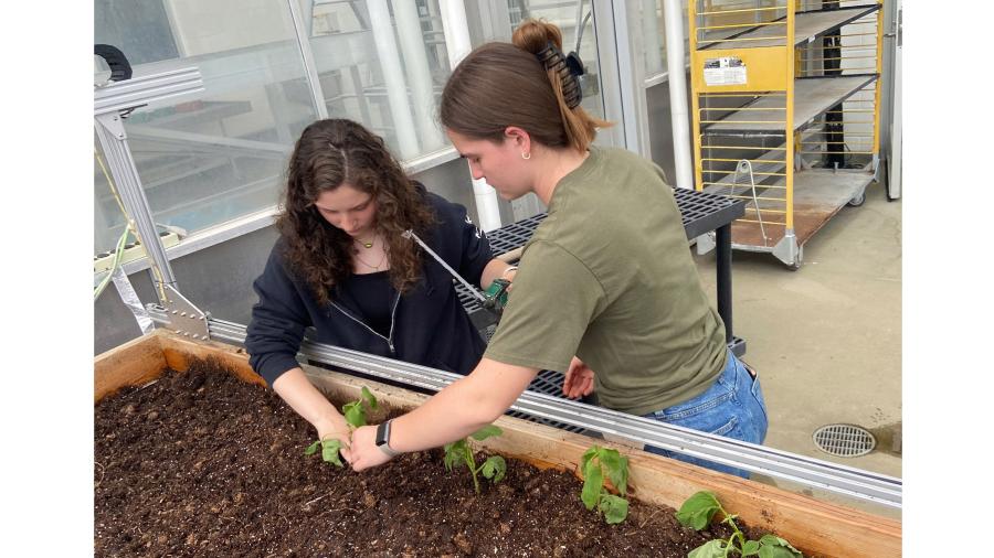 LAKES student Jessica Qualich and AMCS student Lindsey Redepenning in the Jarvis Hall Grennhouse