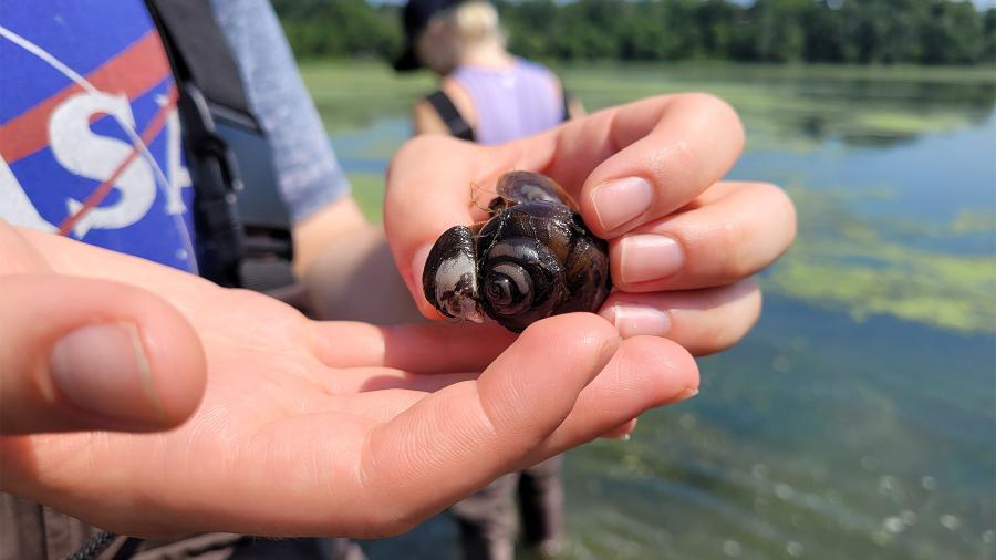 LAKES students collecting invasive species on Lake Menomin