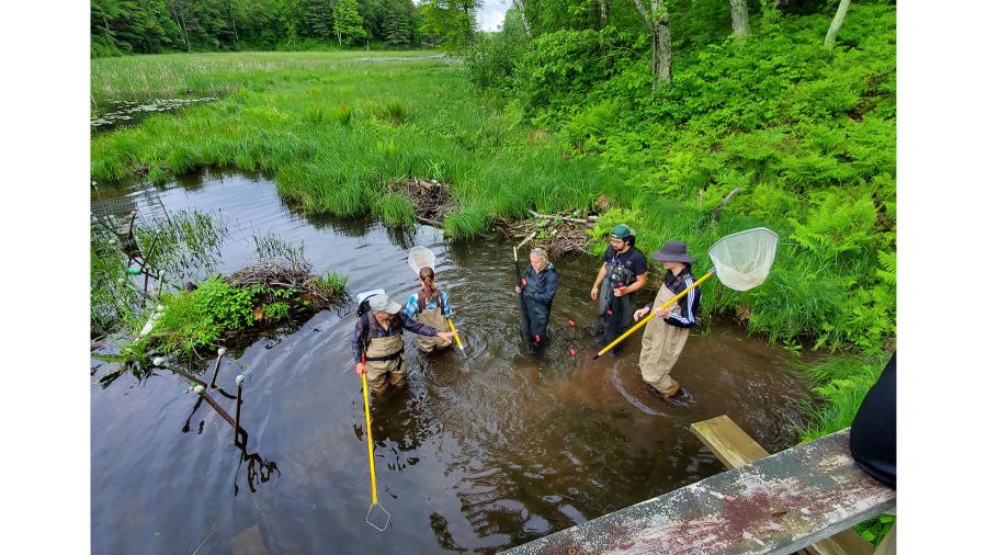 Summer ichthyology students on Lake Superior.