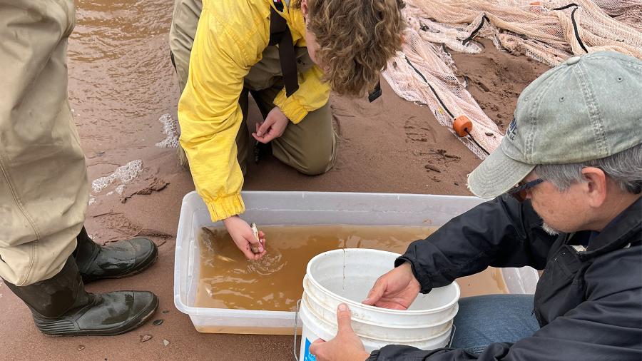 Summer ichthyology students on Lake Superior.