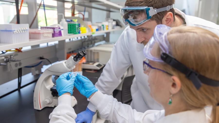 Histology Lab