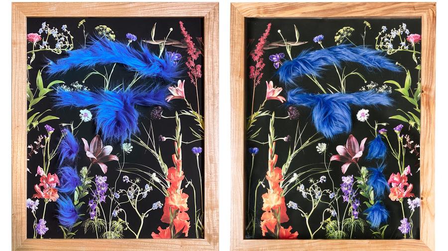 Morgan Barrie, artwork, Eyes of the Garden
