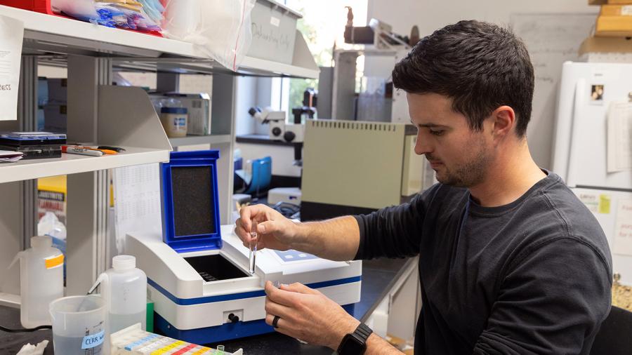 Andrew Schneyer measures soluble phosphorus on a spectrophotometer. The sample is subjected to reagents that react with phosphate to form a blue color. The intensity of the blue is proportional to the concentration of phosphorus.