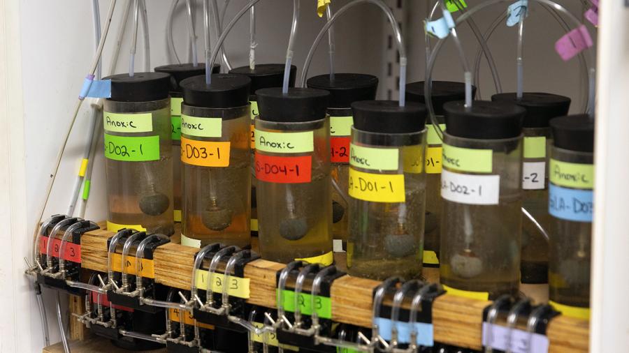 Sediment is tested in an environmental chamber at UW-Stout’s CLRR lab. Each system is gently bubbled continuously with either nitrogen (anaerobic or no oxygen) or air (aerobic or oxygen). The bubbling action is individually controlled in each system with the valves.