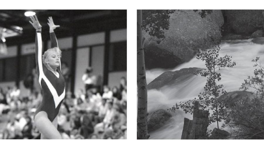 Bill Wikrent, photo collage