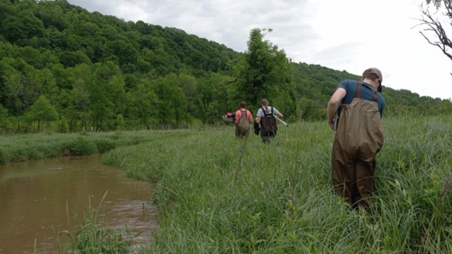 Gilbert Creek water sampling. Photo by Theodore Welch
