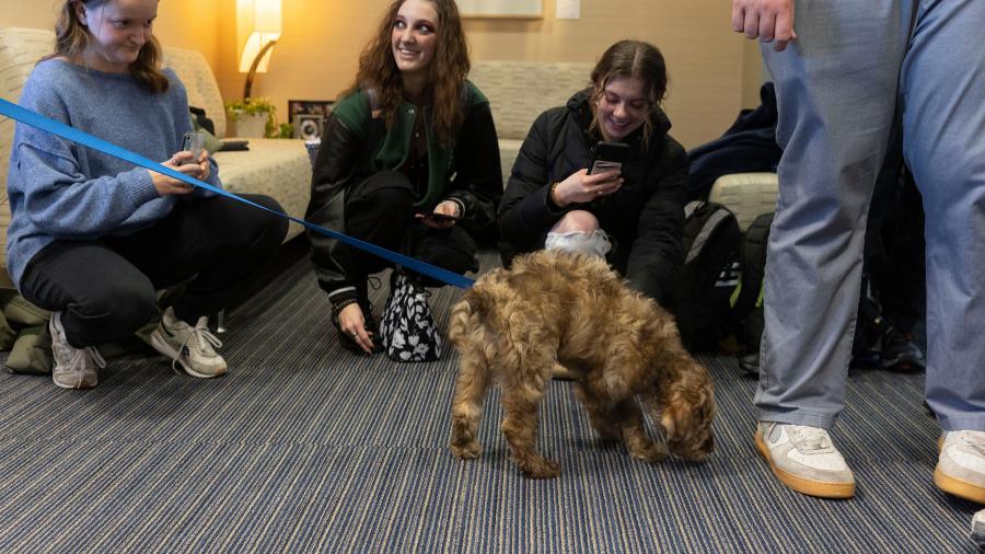 UW-Stout students meet Officer Harvey, who will be trained as a therapy dog.