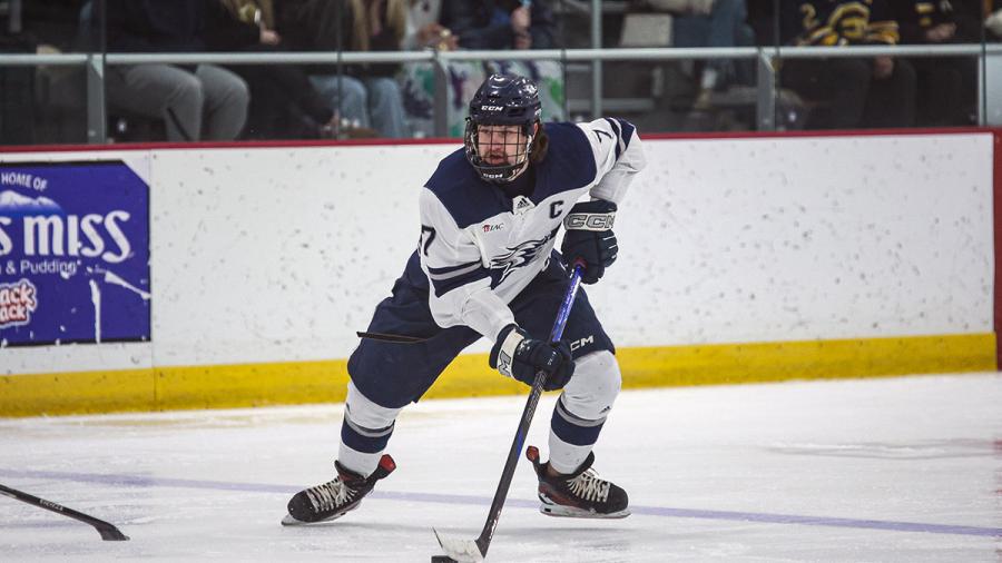 Hockey player on ice