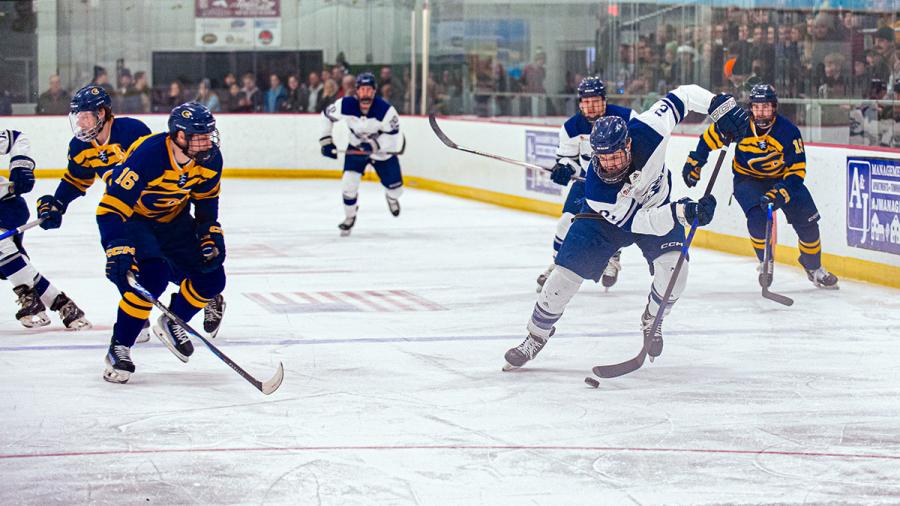 Hockey player on ice