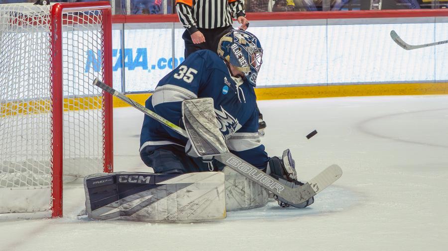 Hockey goalie in action