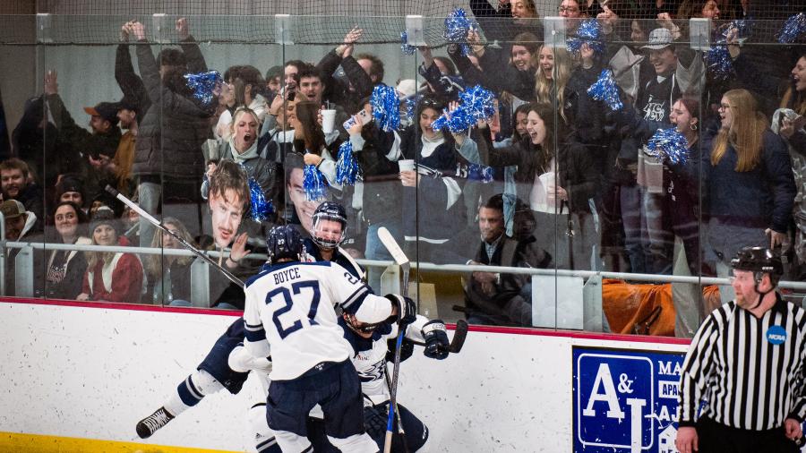 Hockey fans in bleachers
