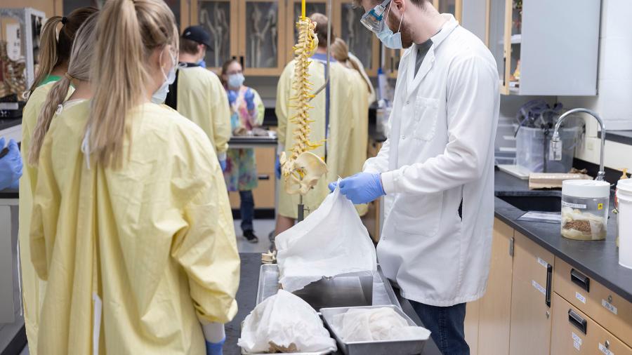Student in anatomy laboratory