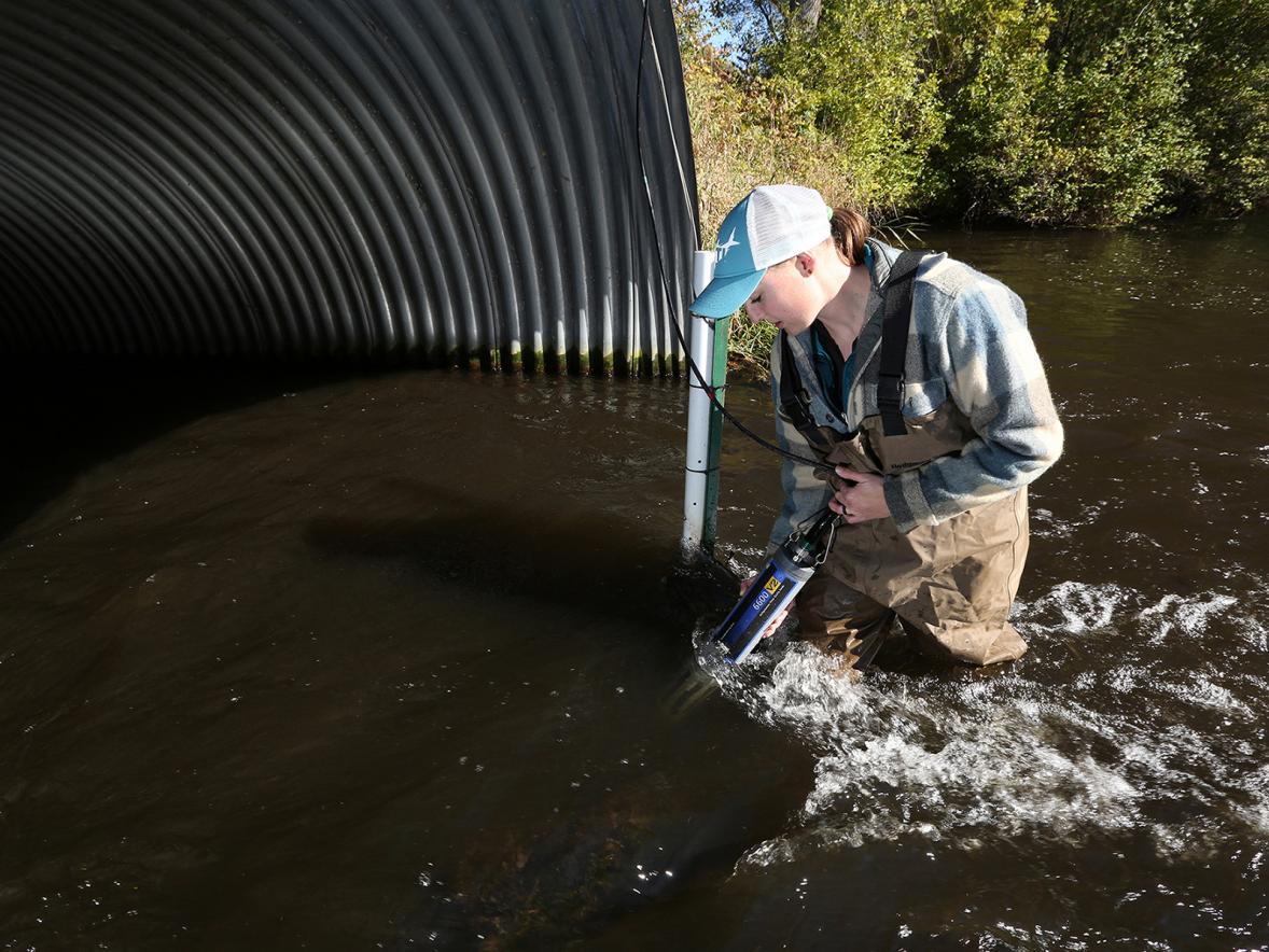 Heidi Lieffort takes water samples at Horse Creek.