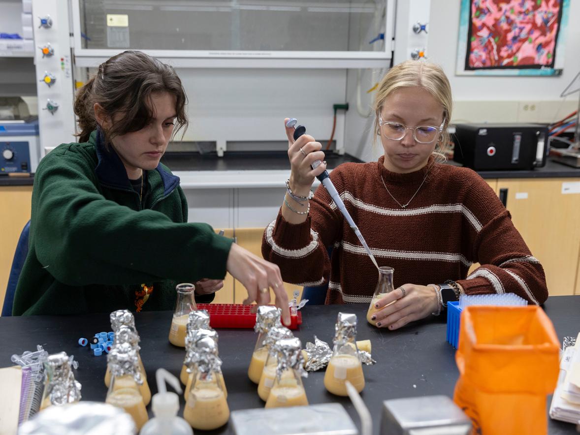 Fermentation station: Microbiology students boost skillsets with pungent lab experiments Featured Image