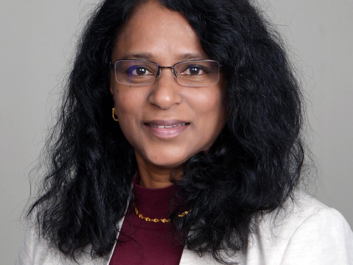 UW-Stout announces Ramakrishnan as provost and vice chancellor for Academic Affairs  Featured Image