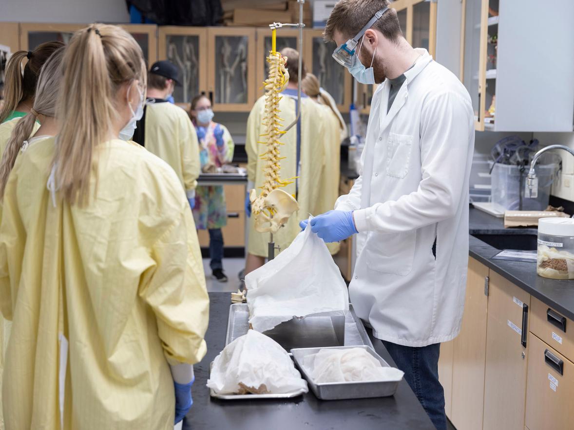 Student in anatomy laboratory